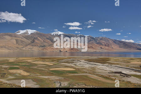 Wheat and barley fields front Tso Moriri Lake, Ladakh, India Stock Photo
