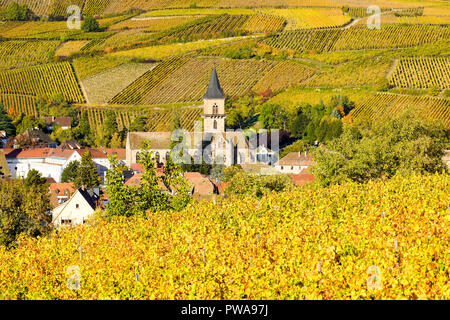 Ribeauville village in Alsace surrounded by  vineyards  in autumn colors, France.. Stock Photo