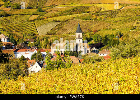 Ribeauville village in Alsace surrounded by  vineyards  in autumn colors, France. Stock Photo