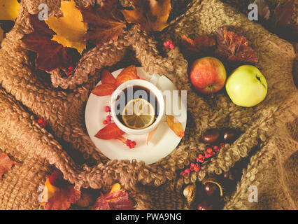 white cup with hot tea, steam, woolen material surrounds a saucer, colorful maple leaves on a cloth, two apples and chestnuts, an autumn look, Stock Photo