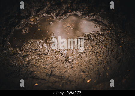 puddle on a stone road with reflection of light in the water. Stock Photo