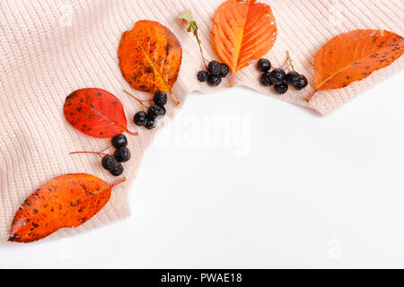 Woomen gentle beige pink sweater, dry autumn leaves and aronia berries on a white background, Autumn fall concept., autumn shopping and discounts concept . Flat lay, top view, copy space Stock Photo