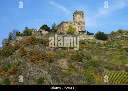 Burg Gutenfels, Kaub, Welterbe Kulturlandschaft Oberes Mittelrheintal, Rhein, Deutschland, Europa Stock Photo