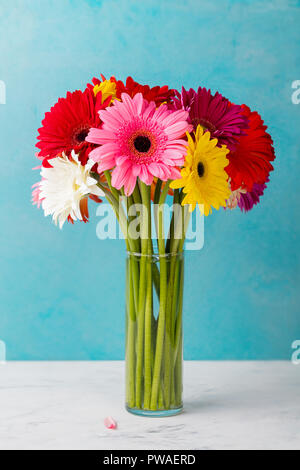 Colorful bunch of gerbera flowers in a glass vase. Blue background Stock Photo