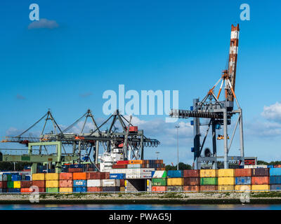 Shipping Containers Rotterdam Port Container Trade - International ...