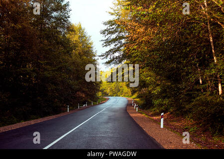 asphalt road going into the distance in the autumn forest. Stock Photo