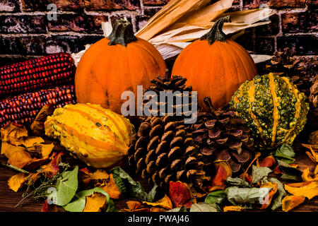 Beautiful Earthy colors in a fall still life with pumpkins, pine cones, Gourds, squash and Indian Corn on a bed of dried leaves and rose petals Stock Photo