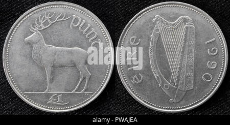 1 pound coin, Ireland, 1990 Stock Photo