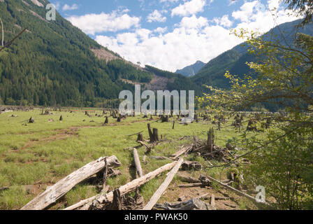 A meadow on the river at the north end of Stave Lake in Mission, British Columbia, Canada Stock Photo