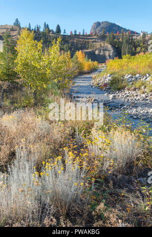 Creek running through autumn forest with mountain and blue sky in background Stock Photo