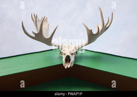 Whitehorse, Canada. Moose skull with antlers hanging outside from a green building roof with sky in the background. Stock Photo