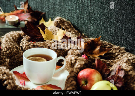 white cup with hot tea, steam, woolen material surrounds a saucer, maple multi-colored leaves on a cloth, two apples and chestnuts, autumn look, Stock Photo
