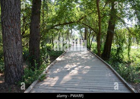 wooden cycle and walking elevated paths through the lagoon at divjake national park albania Stock Photo