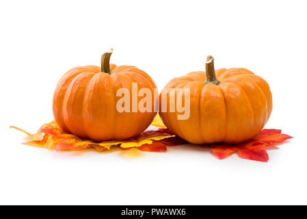 Fresh orange miniature pumpkins isolated Stock Photo