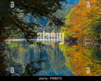 Autumn scenery in nature Brod na Kupi in Croatia