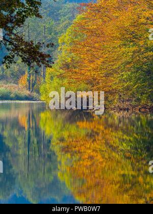 Autumn scenery in nature Brod na Kupi in Croatia