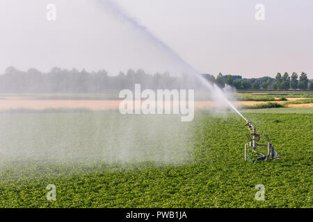 Travelling sprinkler with hose reel irrigation machine spaying water over a  farmland during a drought summer Stock Photo - Alamy