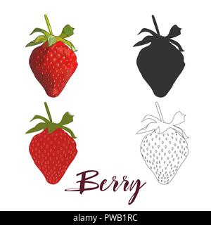 Juicy strawberries isolated on white background. Hand drawn outline sketch and strawberry silhouette. Stock Vector