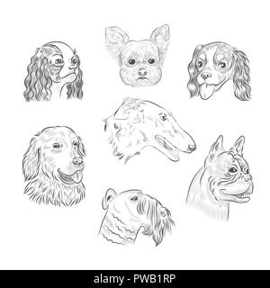Dog breed portraits hand drawn sketches. Dog heads collection isolated on white background. Stock Vector