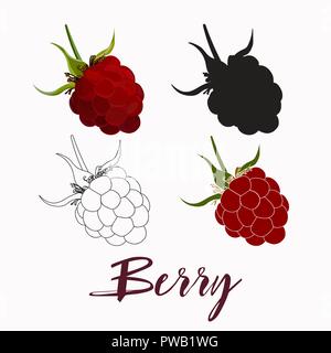 Raspberries isolated on white background. Raspberry silhouette, outline vector. Stock Vector