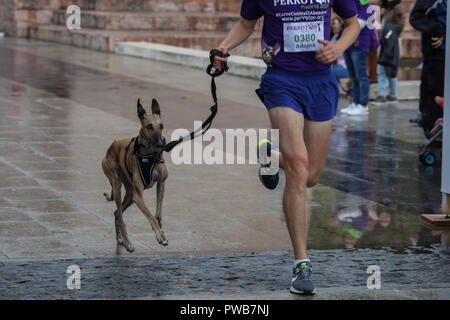 Madrid, Spain. 14th Oct, 2018. Perroton Madrid 2018 is the 7th edition of the solidarity race for the adoption and responsible holding of companion animals. Credit: Jesus Hellin/ZUMA Wire/Alamy Live News Stock Photo