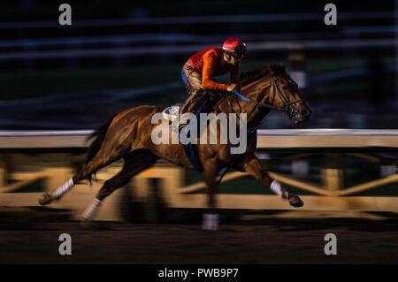 Arcadia, CA, USA. 14th Oct, 2018. October 14 2018 : Accelerate works out in preparation for the Breeders' Cup, at Santa Anita Park on October 14, 2018 in Arcadia, California. Evers/ESW/CSM/Alamy Live News Stock Photo