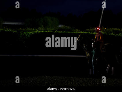 Arcadia, CA, USA. 14th Oct, 2018. October 14 2018 : Accelerate works out in preparation for the Breeders' Cup, at Santa Anita Park on October 14, 2018 in Arcadia, California. Evers/ESW/CSM/Alamy Live News Stock Photo