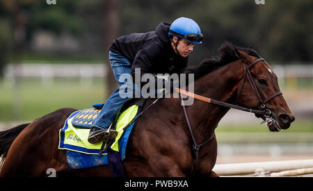 Arcadia, CA, USA. 14th Oct, 2018. October 14 2018 : Mckinzie with Joe Talamo up works in preparation for the Breeders' Cup, at Santa Anita Park on October 14, 2018 in Arcadia, California. Evers/ESW/CSM/Alamy Live News Stock Photo