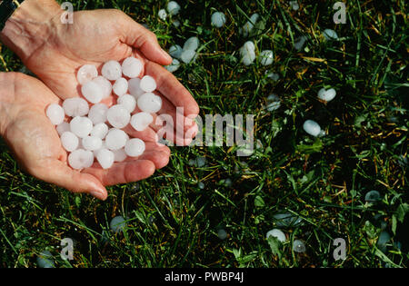 Man Holding Freshly Fallen Hailstones on summer day, USA Stock Photo