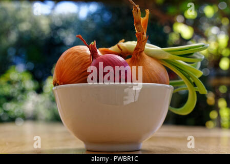 Red and white onions in a white bowl Stock Photo