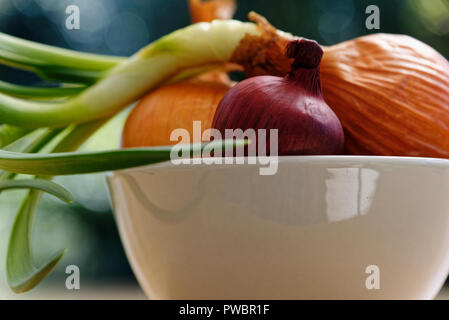 Onion that has sprouted with other onions Stock Photo