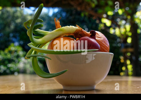 An onion in a white dish with red onions Stock Photo