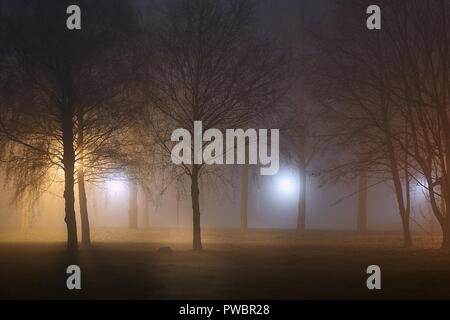 Foggy Mysterious Night Stock Photo