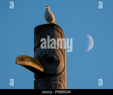 A seagull perches on a totem pole at the harbour in Victoria, British Columbia, Canada, with a crescent moon in the sky. Stock Photo