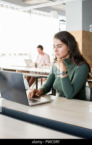 Serious concentrated female student with curly hair sitting at table and analyzing information on laptop while working in open space office Stock Photo