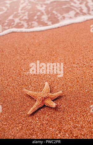 Starfish lying on sand and soft surf wave on background a lot of space for text Stock Photo