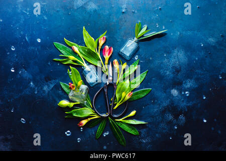Floral header with gardening sciccors and flowers on a dark background with copy space. Alstroemeria floral header for a flower shop. Stock Photo