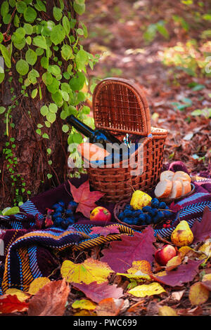 Picnic basket with a wine bottle and baguette in an autumn forest in sunlight with copy space. Picnic still life on location Stock Photo