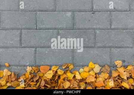 Autumn leaves on paving stone bricks background Stock Photo