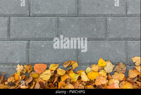 Autumn leaves on paving stone bricks background Stock Photo