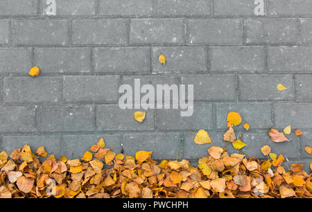 Background: autumn leaves on paving stone bricks Stock Photo