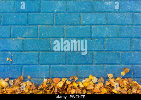 Yellow leaves on blue paving stone background Stock Photo