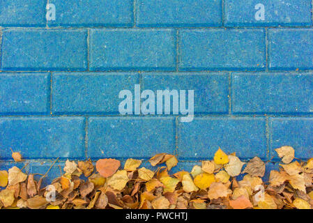 Yellow leaves on blue paving stone bricks Stock Photo
