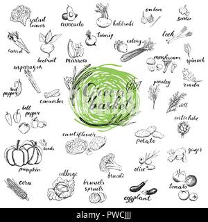 Vegetables hand drawn sketches. Organic vegetables for menu design isolated on white background. Green basket healthy food collection. Stock Vector