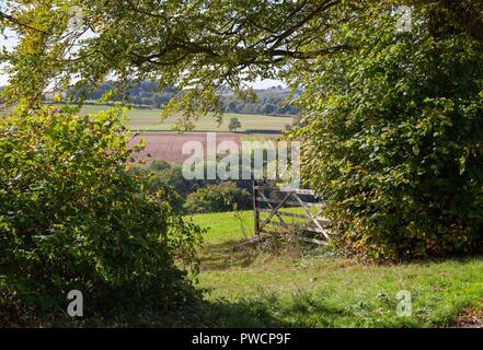 Farmland near Guiting Power, Cotswolds, Gloucestershire, England Stock Photo