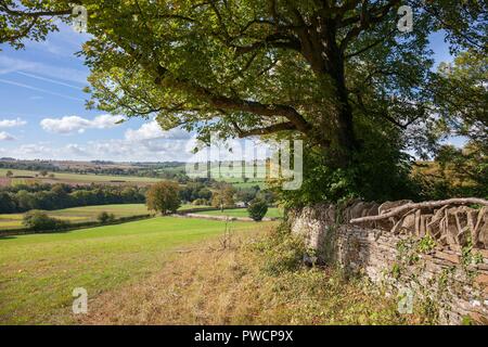 Farmland near Guiting Power, Cotswolds, Gloucestershire, England Stock Photo