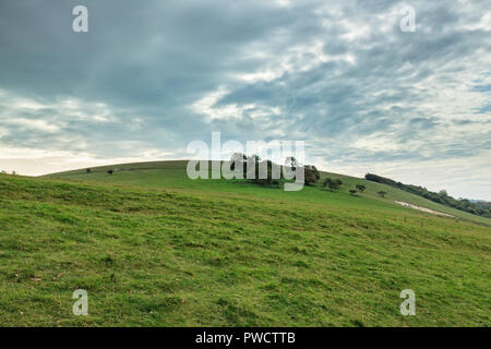 Harrow Hill, near Patching, is an Archaeological site which lies in the chalk hills of West Sussex Stock Photo