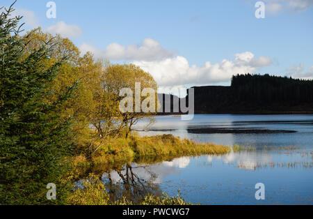 Scenic view on Meenameen lake in Lough Navar Forest in Co. Fermanagh, Northen Ireland Stock Photo