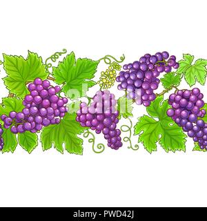 grapes vector horizontal pattern on white background Stock Vector