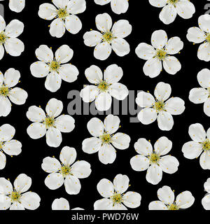 Seamless pattern. White cherry flowers on a black background. Stock Photo